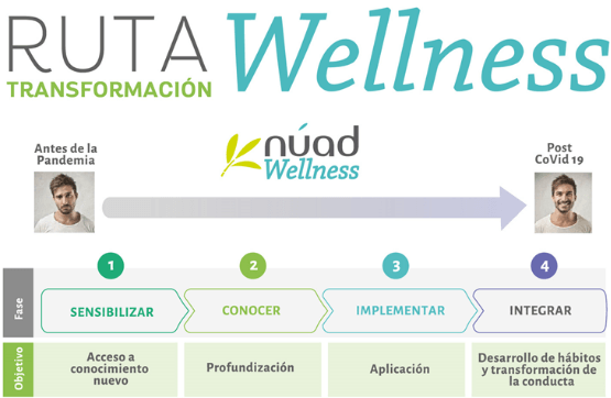 Ruta Wellness